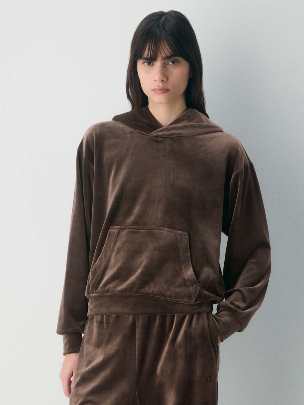 TNA| Aritzia| Brown Audrina Plush Velour Hoodie Sweatshirt Sz S